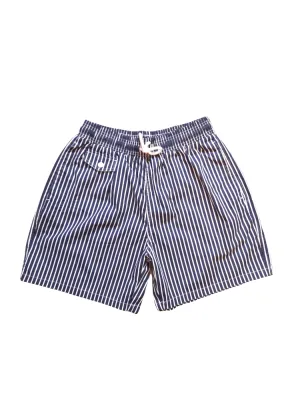 Danny Classic Blue Striped Swimwear Mens Shorts