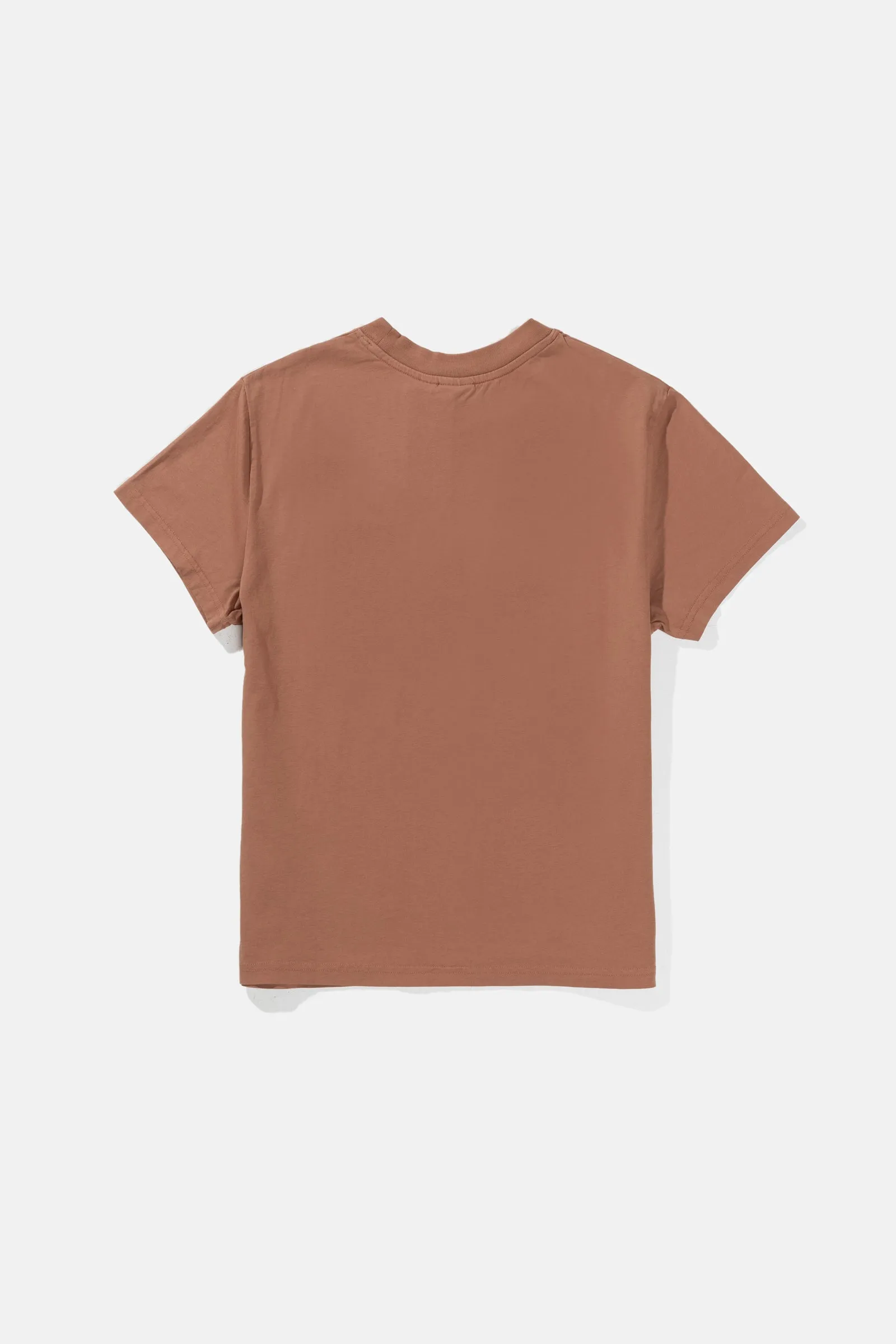 Interrupted Band T-Shirt Rust