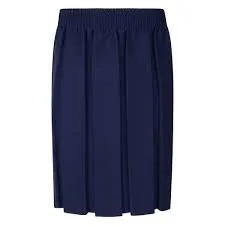 Navy All round pleated skirt