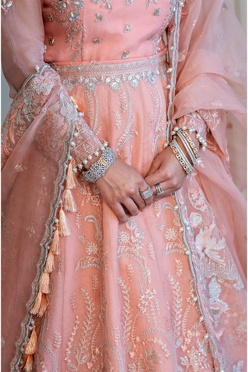 Rang Rasiya Ritzier Embroidered Wedding Series – MAYA